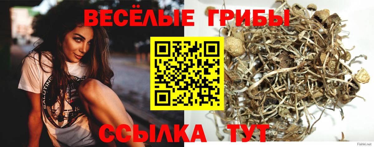 Галлюциногенные грибы GOLDEN TEACHER  Вход с VPN  Псилоцибиновые грибы ЛСД  Жуковский 